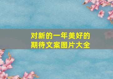 对新的一年美好的期待文案图片大全