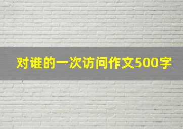 对谁的一次访问作文500字