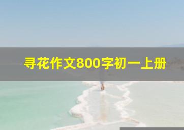 寻花作文800字初一上册