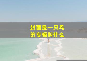 封面是一只鸟的专辑叫什么