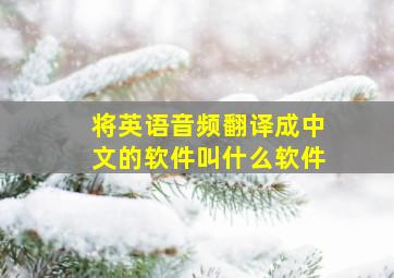 将英语音频翻译成中文的软件叫什么软件