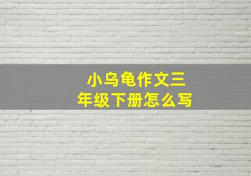 小乌龟作文三年级下册怎么写