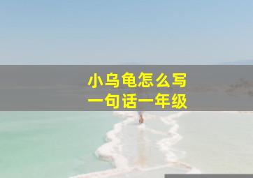 小乌龟怎么写一句话一年级