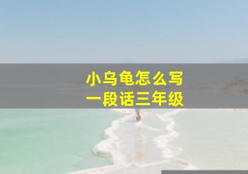 小乌龟怎么写一段话三年级