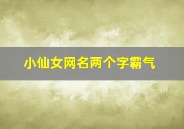 小仙女网名两个字霸气