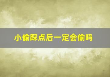 小偷踩点后一定会偷吗