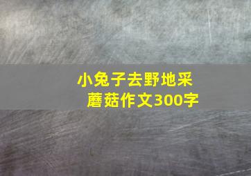 小兔子去野地采蘑菇作文300字