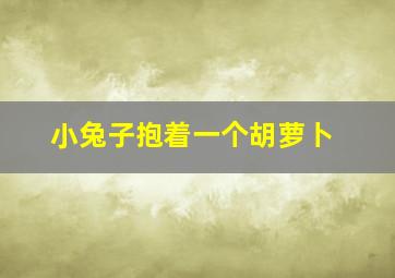 小兔子抱着一个胡萝卜