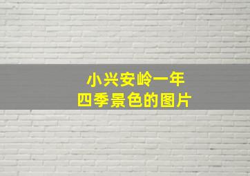 小兴安岭一年四季景色的图片