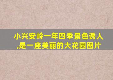 小兴安岭一年四季景色诱人,是一座美丽的大花园图片