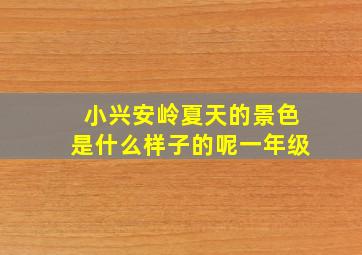 小兴安岭夏天的景色是什么样子的呢一年级