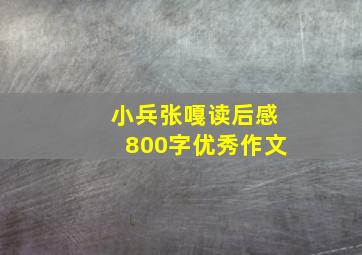 小兵张嘎读后感800字优秀作文