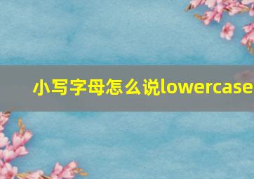 小写字母怎么说lowercase