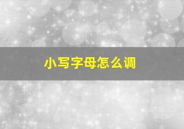 小写字母怎么调