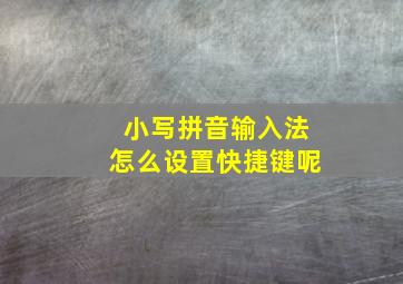 小写拼音输入法怎么设置快捷键呢