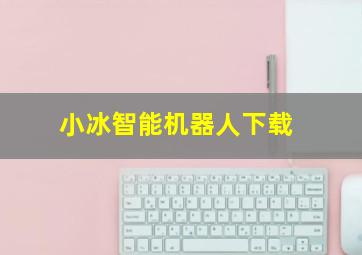 小冰智能机器人下载