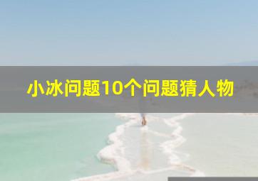 小冰问题10个问题猜人物