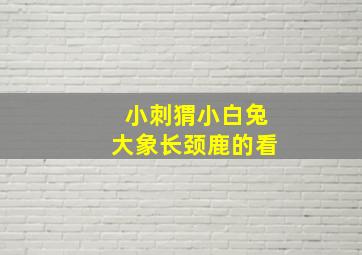 小刺猬小白兔大象长颈鹿的看