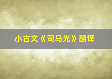 小古文《司马光》翻译