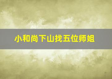 小和尚下山找五位师姐