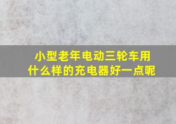 小型老年电动三轮车用什么样的充电器好一点呢