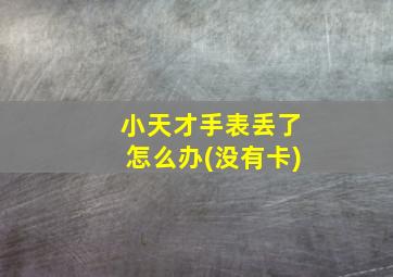 小天才手表丢了怎么办(没有卡)