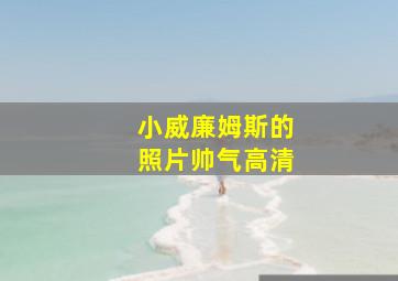 小威廉姆斯的照片帅气高清