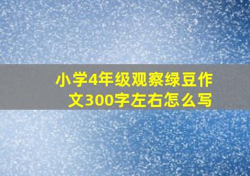 小学4年级观察绿豆作文300字左右怎么写