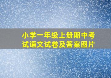 小学一年级上册期中考试语文试卷及答案图片