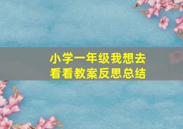 小学一年级我想去看看教案反思总结