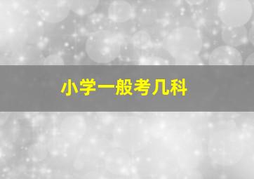 小学一般考几科