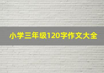 小学三年级120字作文大全