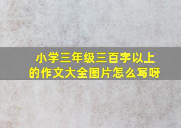 小学三年级三百字以上的作文大全图片怎么写呀