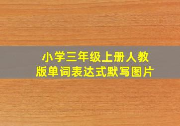 小学三年级上册人教版单词表达式默写图片