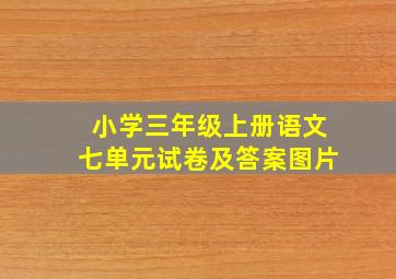 小学三年级上册语文七单元试卷及答案图片