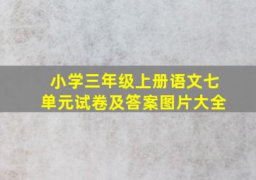 小学三年级上册语文七单元试卷及答案图片大全