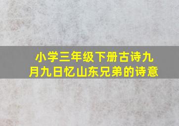 小学三年级下册古诗九月九日忆山东兄弟的诗意