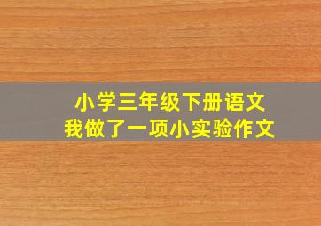 小学三年级下册语文我做了一项小实验作文