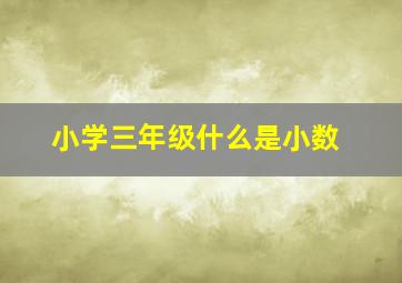 小学三年级什么是小数