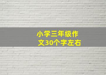 小学三年级作文30个字左右