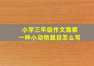 小学三年级作文观察一种小动物题目怎么写