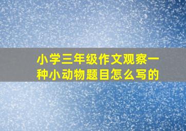 小学三年级作文观察一种小动物题目怎么写的