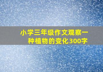 小学三年级作文观察一种植物的变化300字