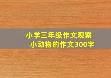 小学三年级作文观察小动物的作文300字