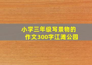 小学三年级写景物的作文300字江滩公园