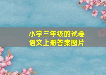 小学三年级的试卷语文上册答案图片