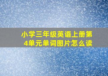 小学三年级英语上册第4单元单词图片怎么读