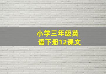 小学三年级英语下册12课文