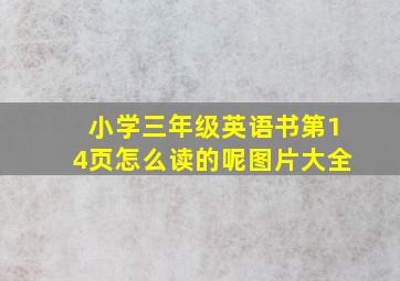 小学三年级英语书第14页怎么读的呢图片大全