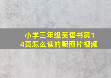 小学三年级英语书第14页怎么读的呢图片视频